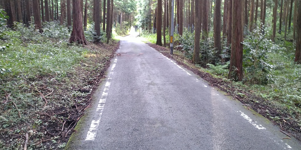 【滋賀県ヒルクライム】湖東町-永源寺へ 15%以上の激坂が4km続く！