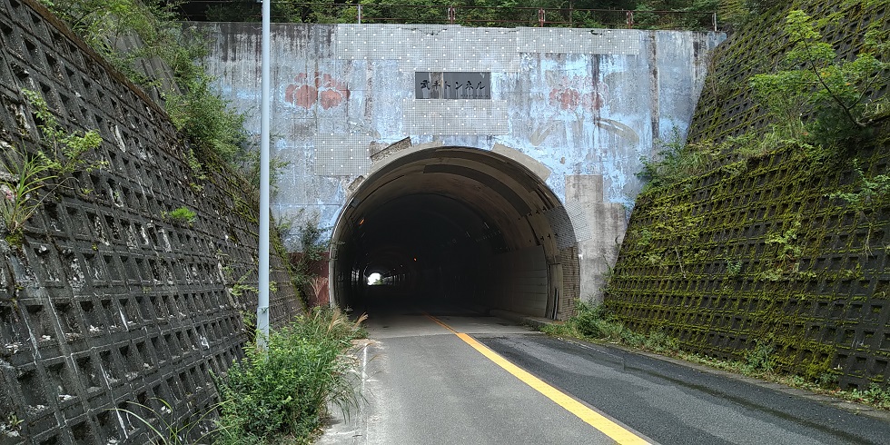 【滋賀県ヒルクライム】日野町役場→鈴鹿スカイライン 往復50km　武平トンネル