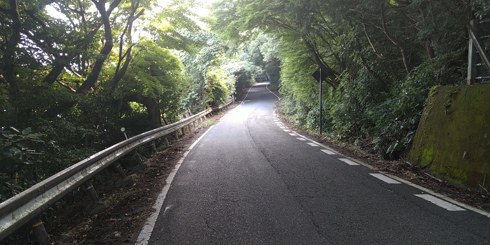 【サイクリング】ビワイチ 近江八幡のサブルート 遠回りだけど楽しいよ♪　サブルートの道路状況