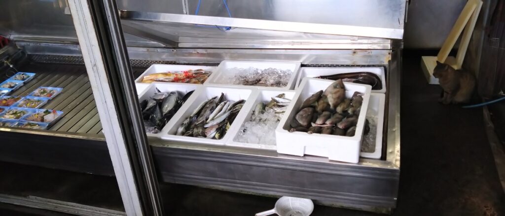 東近江市 サンチョク鮮魚荒木 激安のお刺身定食 メニューはタイミングで(笑)　お魚いっぱい