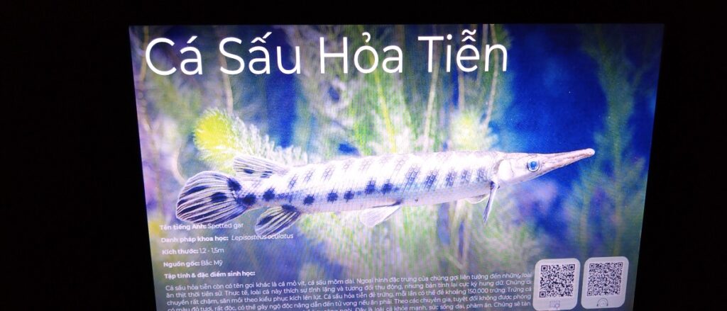【ベトナム観光】ハノイの水族館 日本とはちょっと違うよ　説明