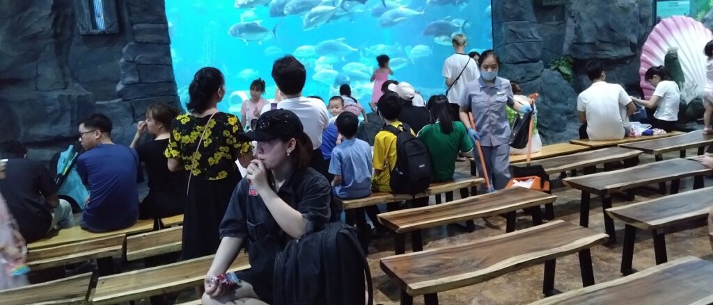 【ベトナム観光】ハノイの水族館 日本とはちょっと違うよ　ショー会場