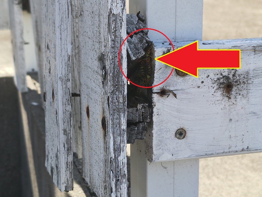 DIYで塀を作り直す！人工木材フェンスで見た目も強度もアップした実践記録