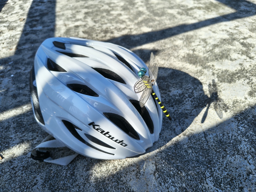 DIYで塀を作り直す！人工木材フェンスで見た目も強度もアップした実践記録